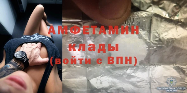 амф Снежногорск