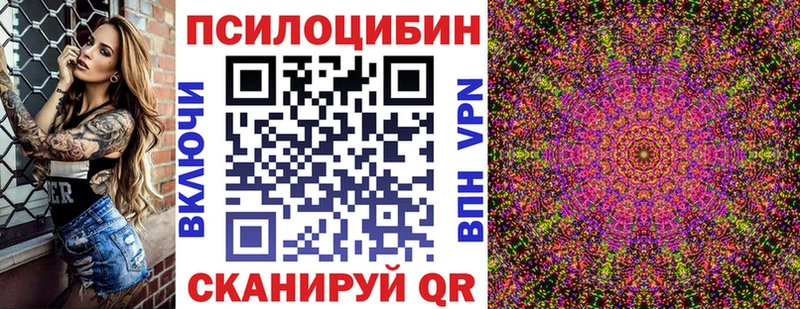 магазин продажи   Гаврилов Посад  Псилоцибиновые грибы прущие грибы 