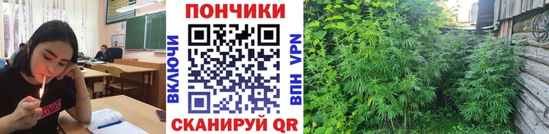Марихуана конопля  Гаврилов Посад 